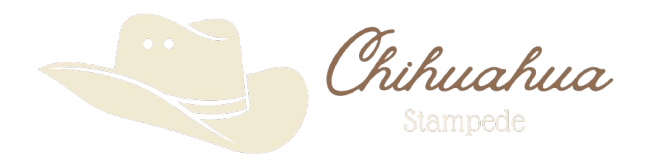 Chihuahua Stampede